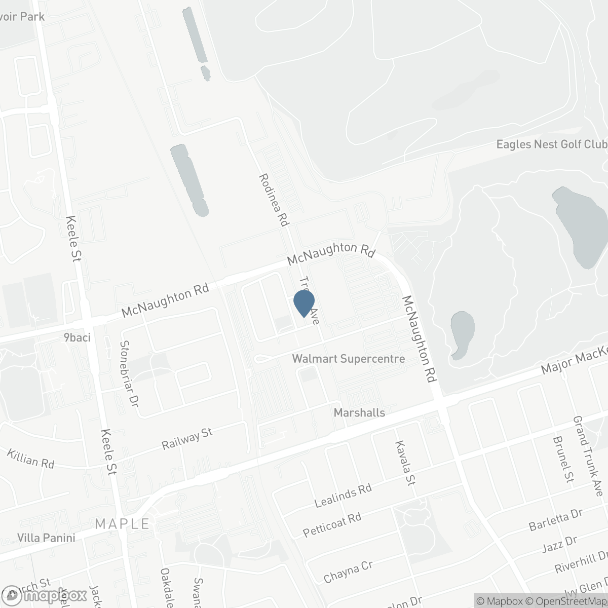 46 TROON AVENUE, Vaughan, Ontario L6A 4Z2